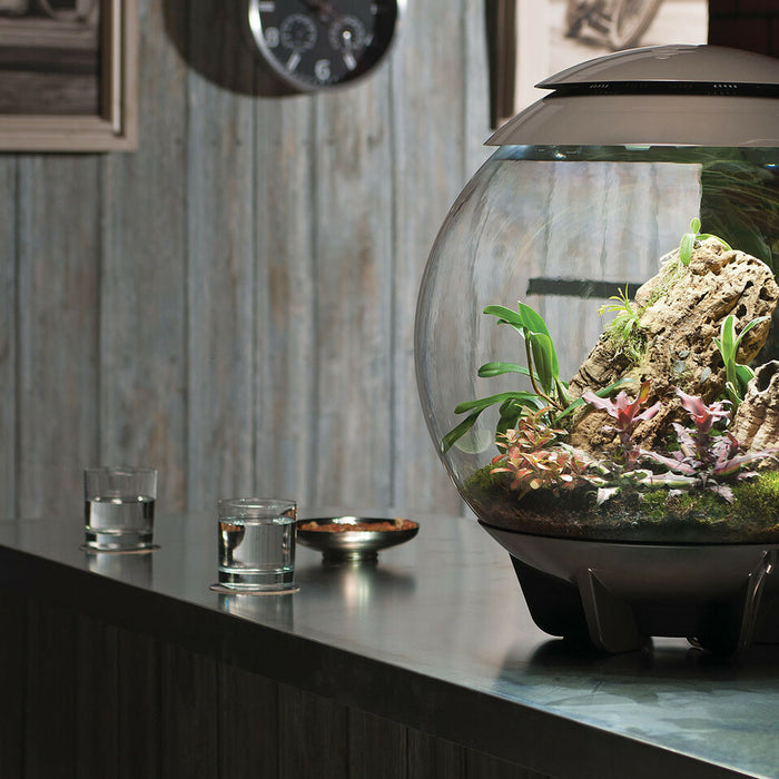 Comment changer le filtre d'un aquarium biorb?