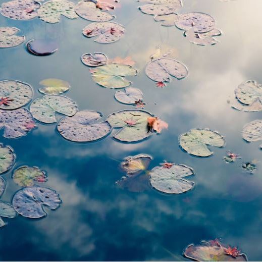 Comment refroidir son eau en été?