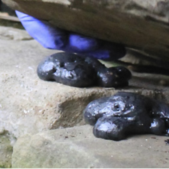 Comment coller les pierres de ma cascade de bassin?