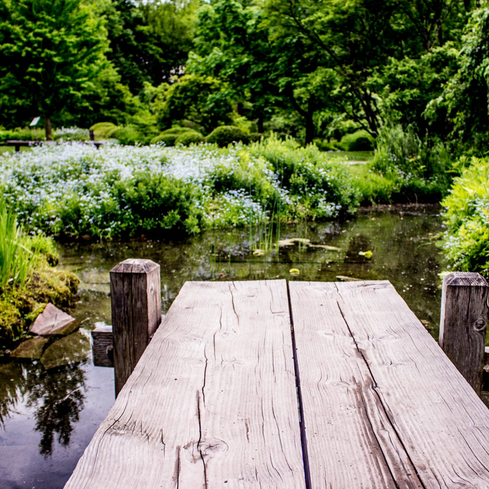 Comment créer un bassin naturel?