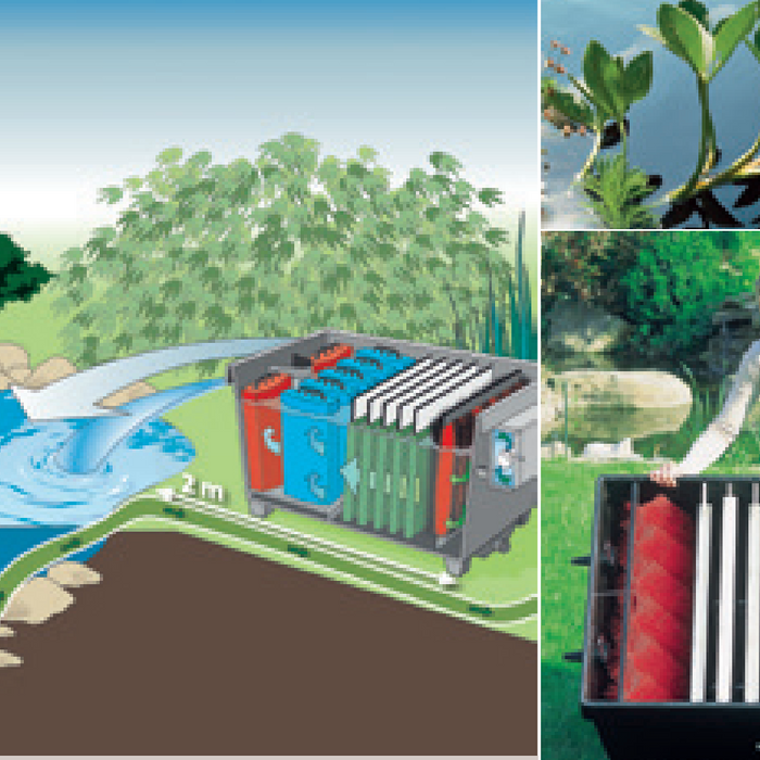 Comment bien choisir son filtre pour bassin de jardin ?