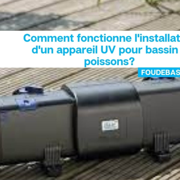 Comment fonctionne l'installation d'un appareil UV pour bassin à poissons?