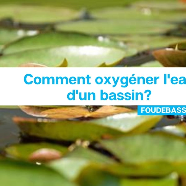 Comment oxygéner l'eau d'un bassin?