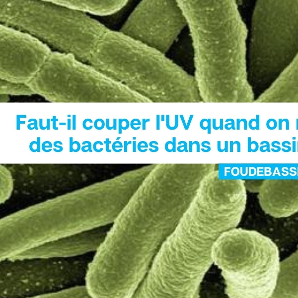Faut-il couper l'UV quand on met des bactéries dans un bassin?