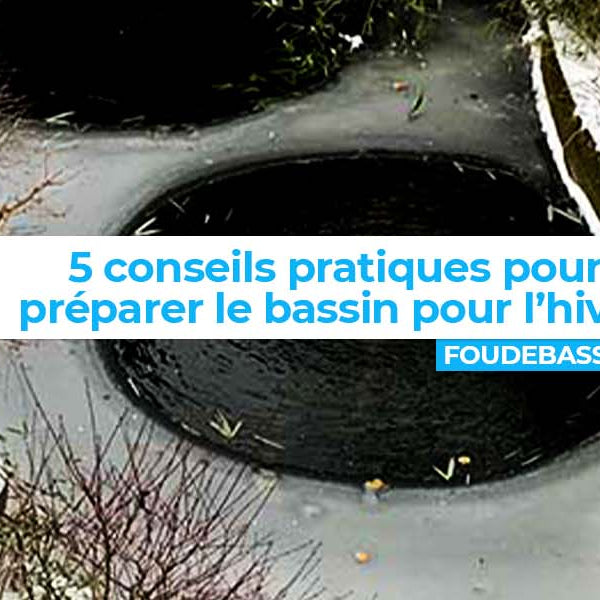 Préparer son bassin pour l'hiver : 5 conseils pratiques pour une saison froide sereine