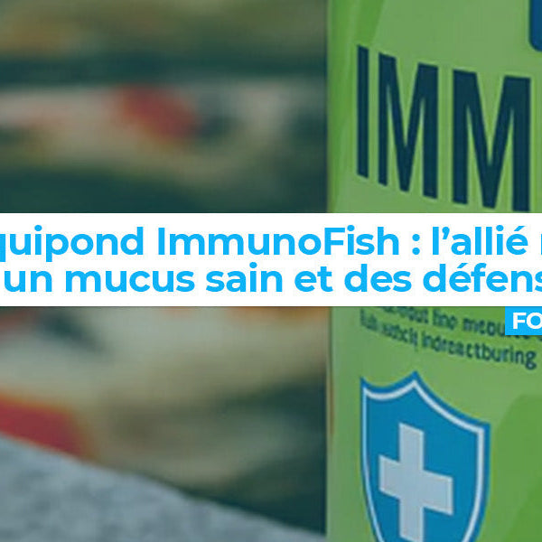 Aquipond ImmunoFish : l’allié naturel de vos koïs pour un mucus sain et des défenses au top