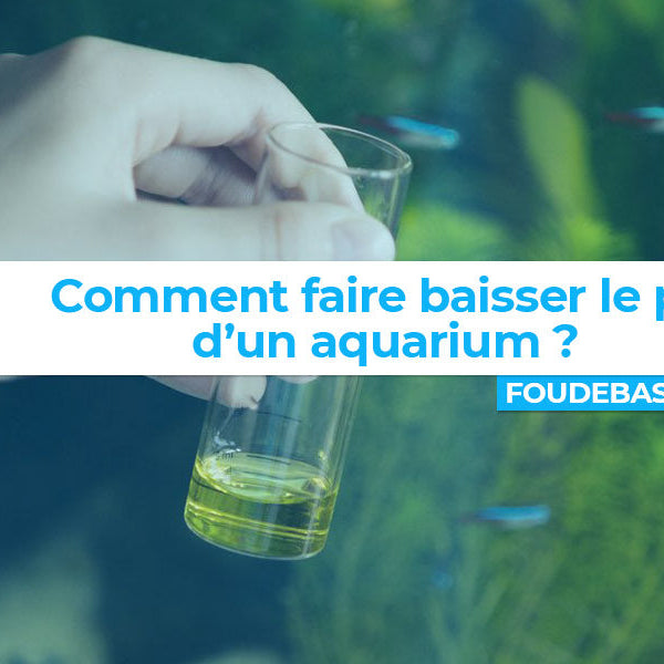 Comment faire baisser le pH d'un aquarium