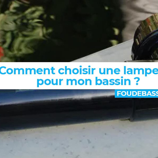 Comment choisir une lampe UV pour mon bassin ?
