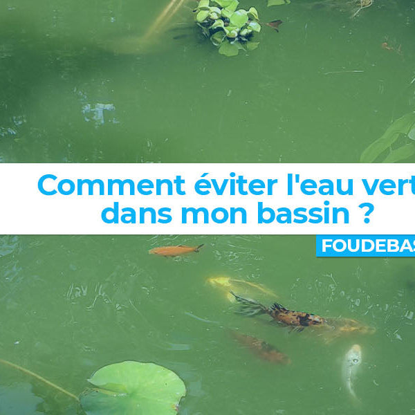 Bannière de l'article qui explique comment éviter que l'eau du bassin verdisse