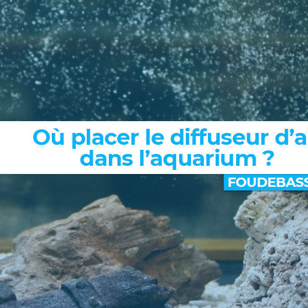 Où placer le diffuseur d'air dans l'aquarium ?