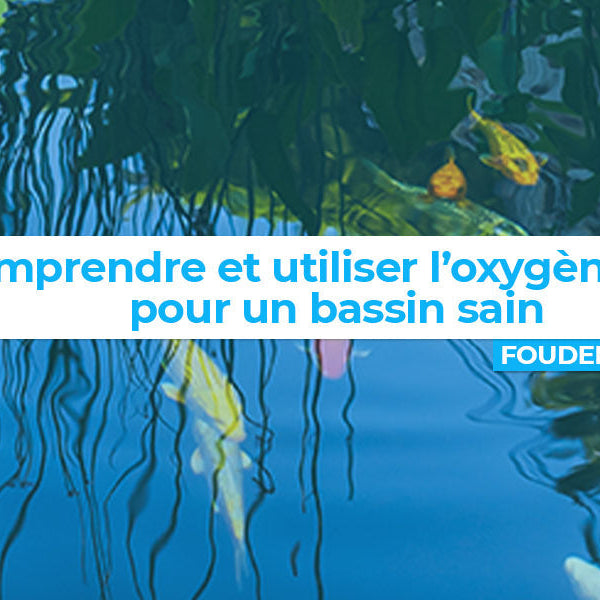 Comprendre et utiliser l’oxygène actif pour un bassin sain
