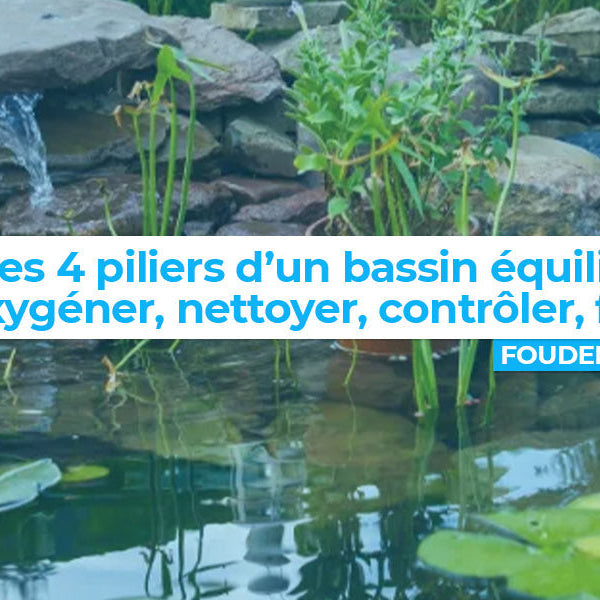 Les 4 piliers d’un bassin équilibré : oxygéner, nettoyer, contrôler, filtrer