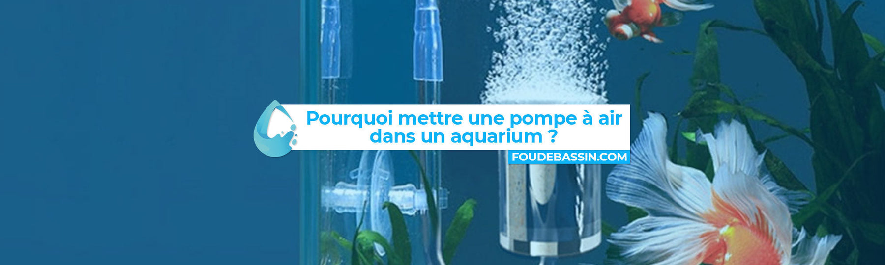 Pourquoi mettre une pompe à air dans un aquarium ?