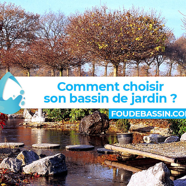 Comment choisir son bassin de jardin ?