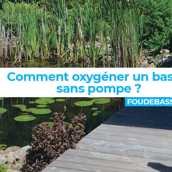 Comment oxygéner un bassin sans pompe : guide pratique pour un écosystème équilibré
