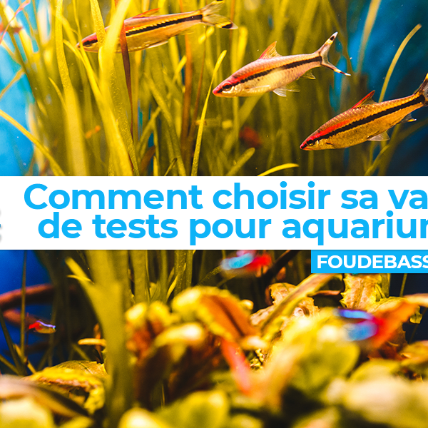 Quelle valise de test pour aquarium choisir?