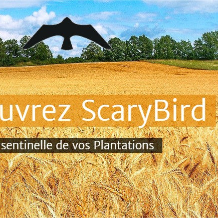 Comment faire fuir les oiseaux du cerisier ou d'autres arbres fruitiers?