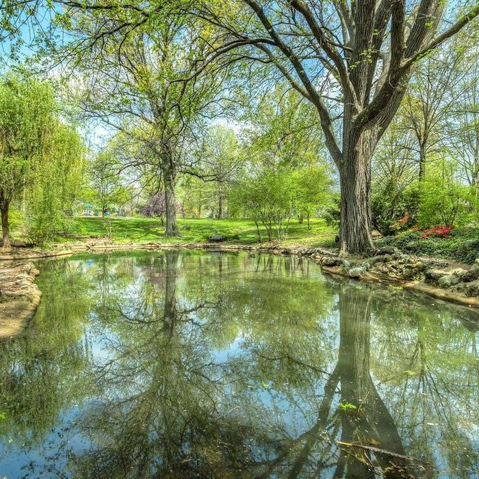 Comment éviter l'eau trouble dans son bassin?