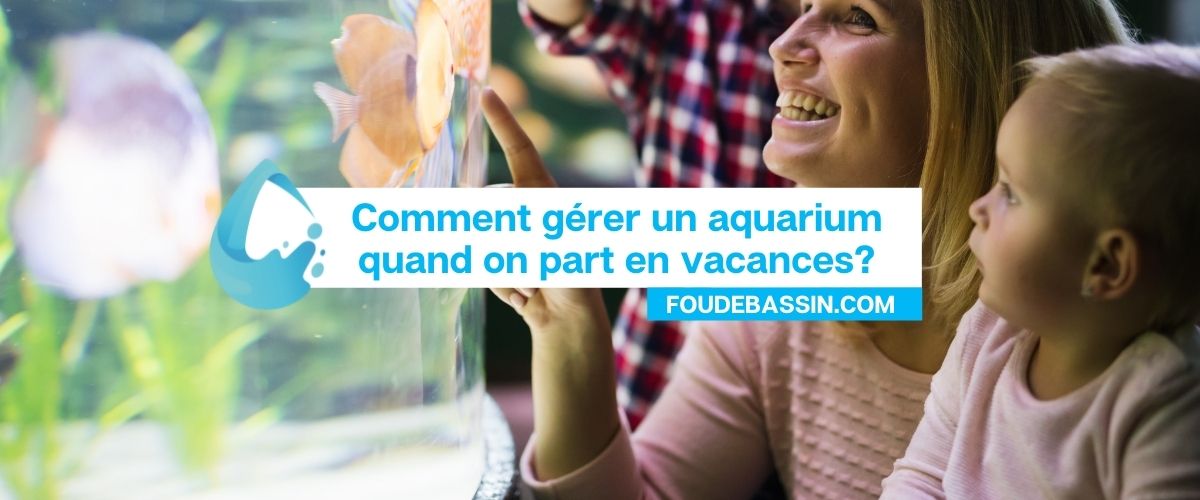 Comment gérer un aquarium quand on part en vacances?