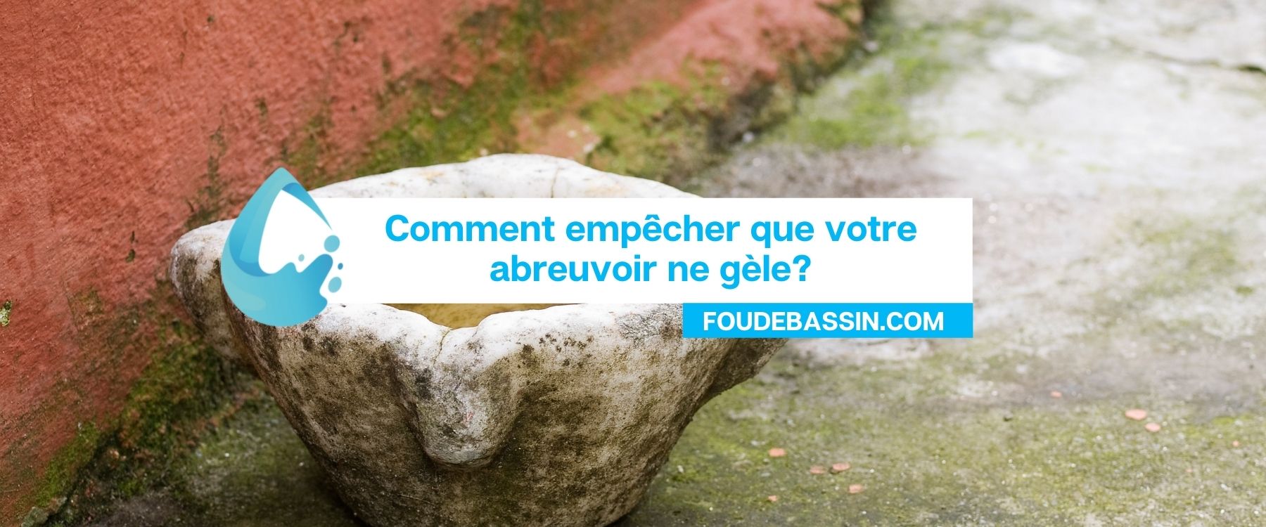 Comment empêcher l'eau de vos abreuvoirs de geler en hiver ?