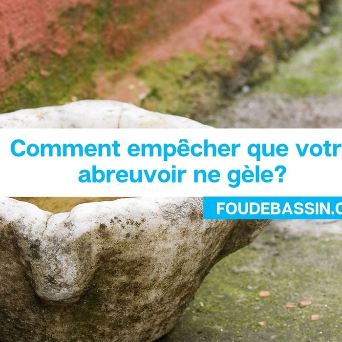 Comment empêcher l'eau de vos abreuvoirs de geler en hiver ?