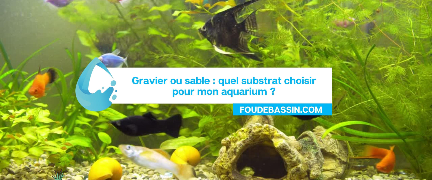 Gravier ou sable pour mon aquarium?
