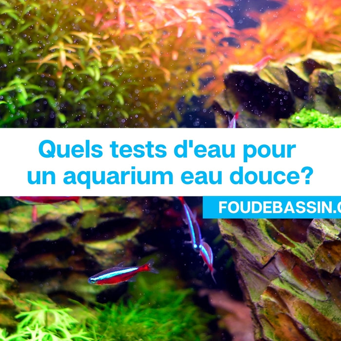 Quels tests d'eau pour un aquarium eau douce?