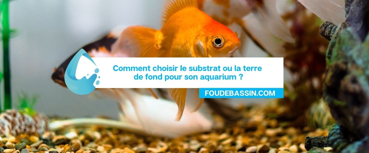Comment choisir le substrat ou la terre de fond pour son aquarium?