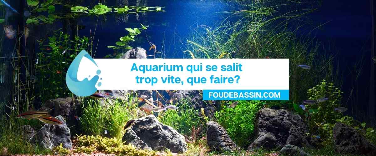 Aquarium qui se salit trop vite, que faire?