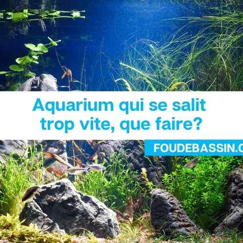 Aquarium qui se salit trop vite, que faire?