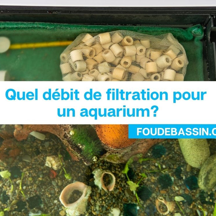 Quel débit de filtration pour un aquarium?