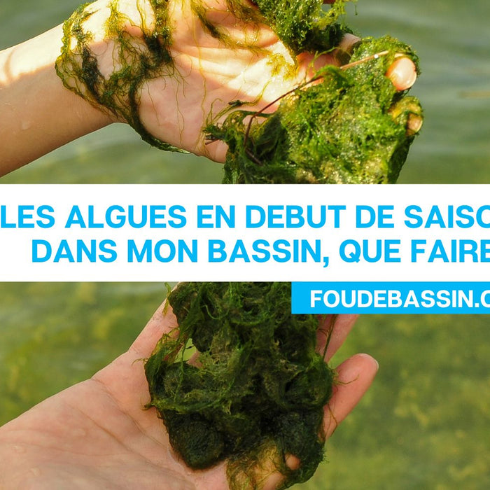 Comment éliminer (et limiter) le développement des algues dans mon bassin en début de saison ?!