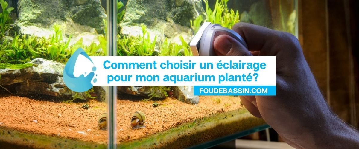 Quel éclairage led pour un aquarium planté?