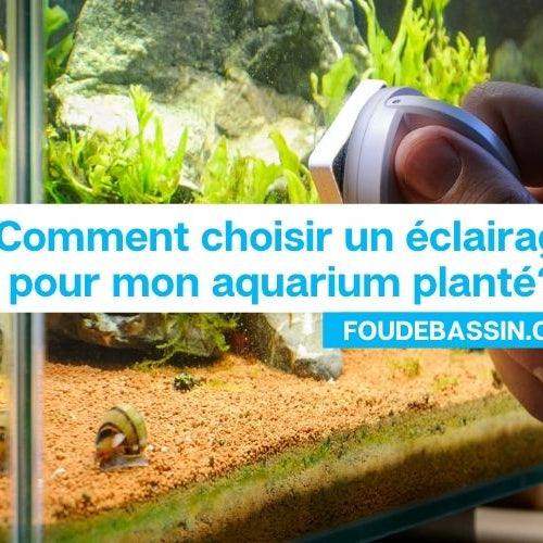 Quel éclairage led pour un aquarium planté?