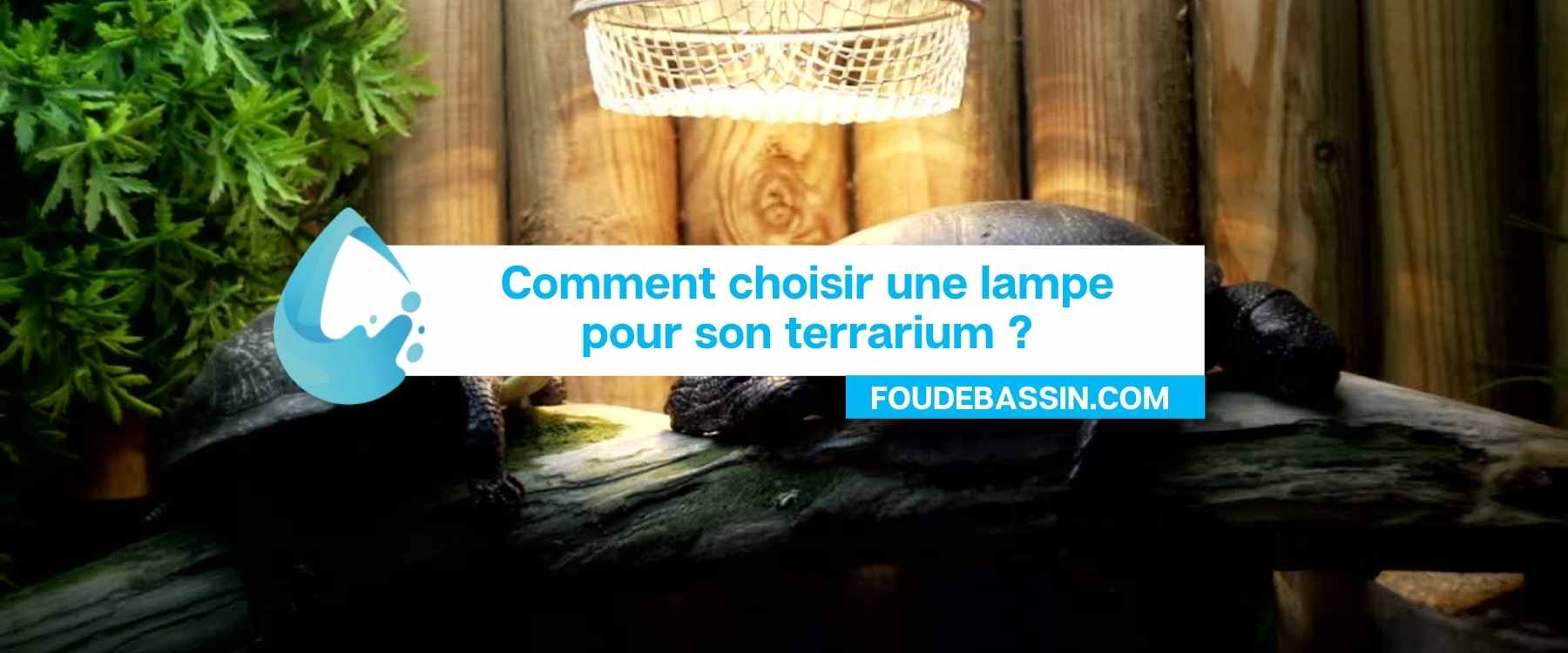 Comment choisir une lampe pour son terrarium ?