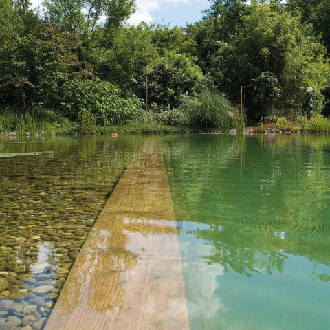 L'eau de mon bassin est verte, que faire?
