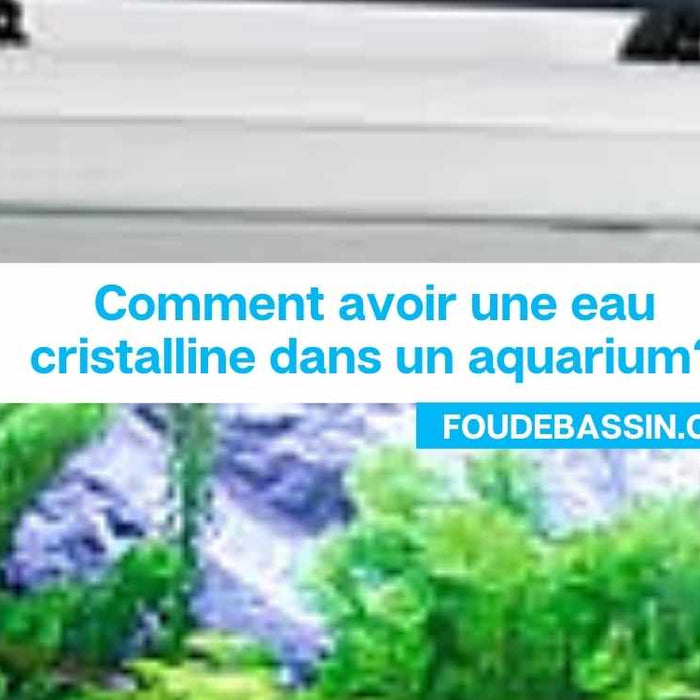 Comment avoir une eau cristalline dans un aquarium?