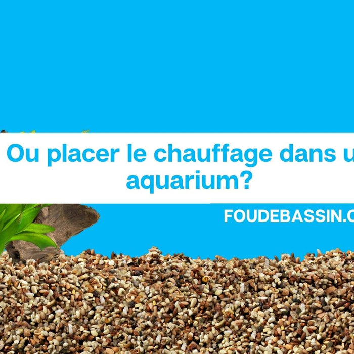 Ou placer le chauffage dans un aquarium?