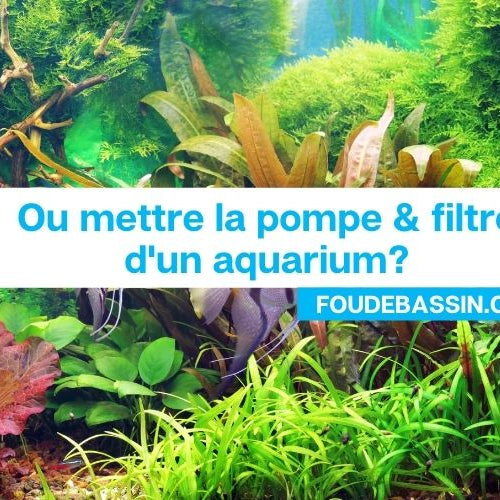 Ou mettre la pompe d'un aquarium?