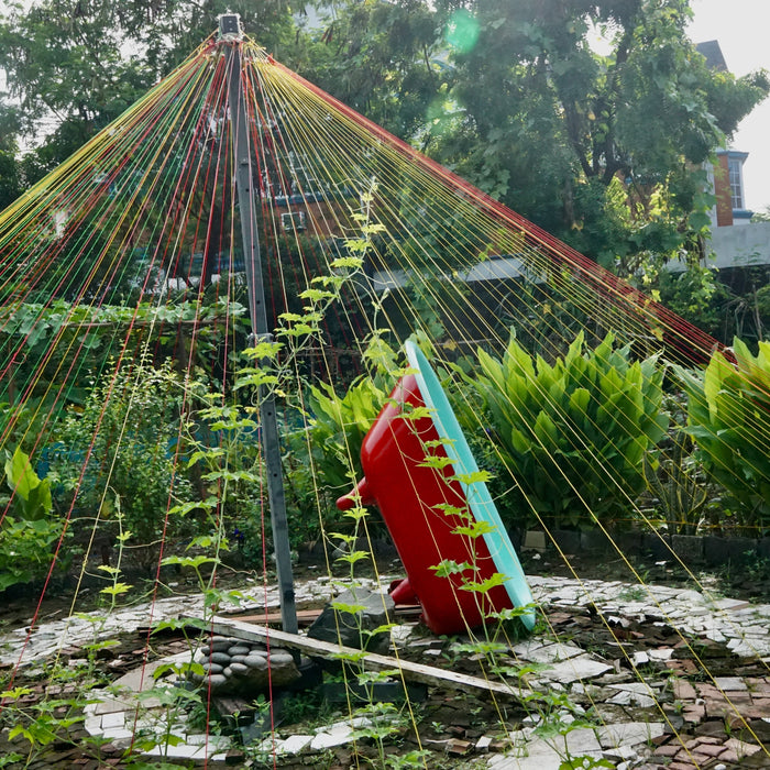 Les principes de la permaculture pour les jardins