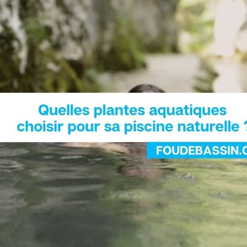 Quelles plantes aquatiques choisir pour sa piscine naturelle ?