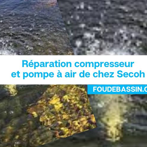 Réparation compresseur & aération - pompe à air de la marque Secoh