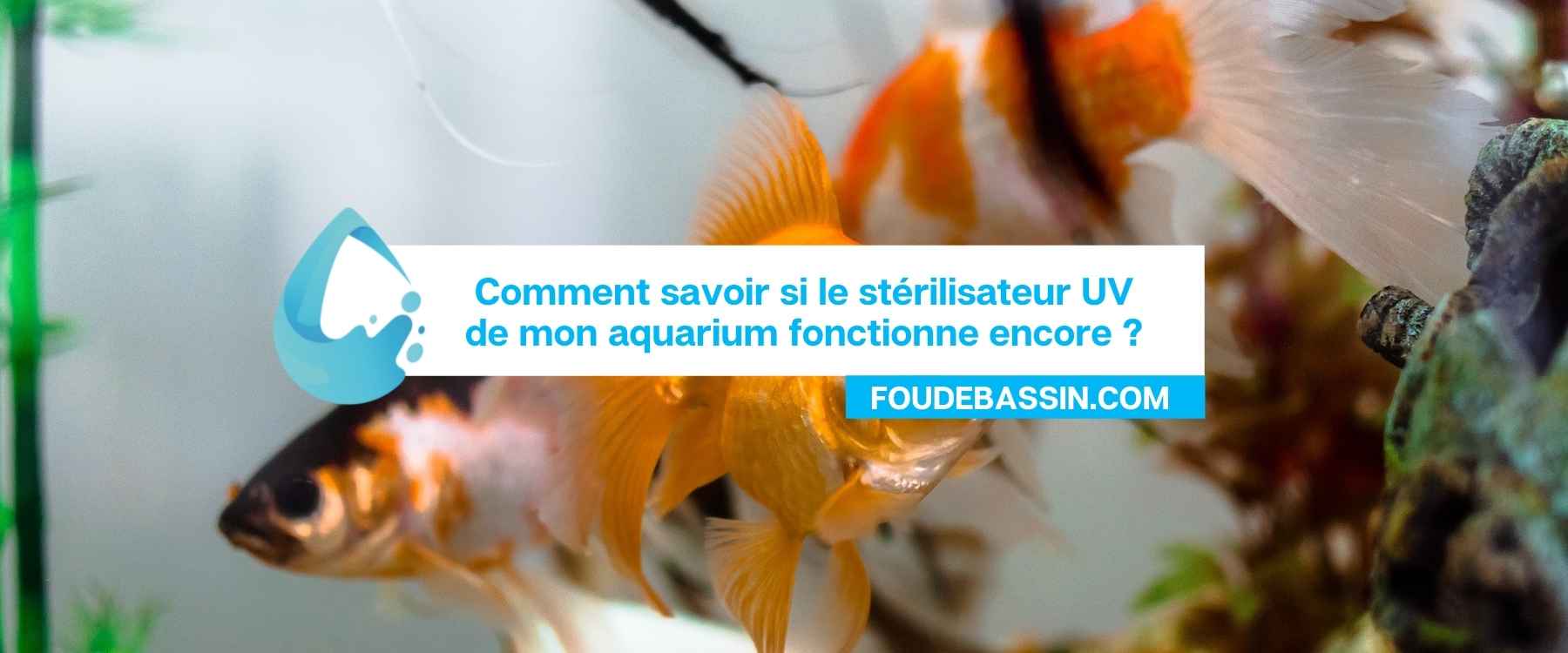 Comment savoir si le stérilisateur UV de mon aquarium fonctionne encore ?