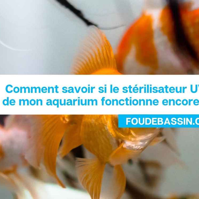 Comment savoir si le stérilisateur UV de mon aquarium fonctionne encore ?