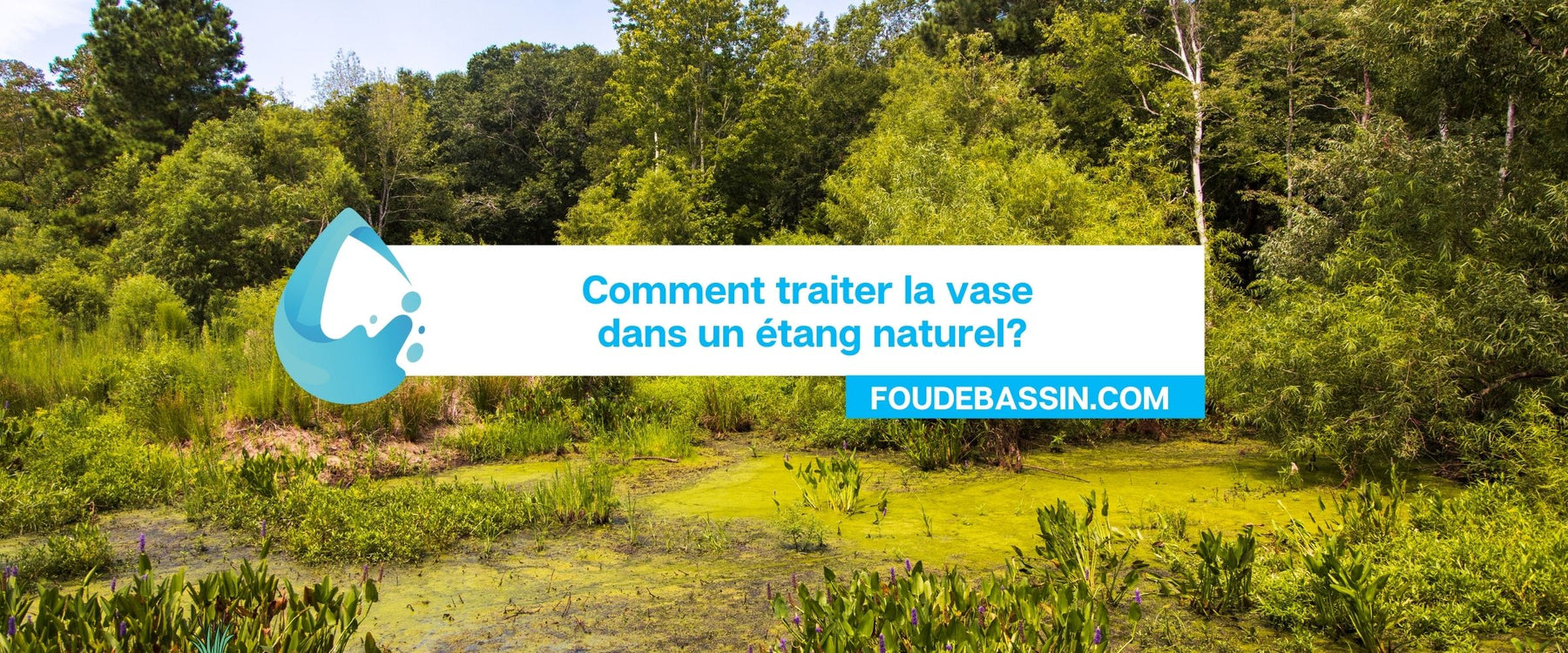 Comment traiter la vase dans un étang naturel?