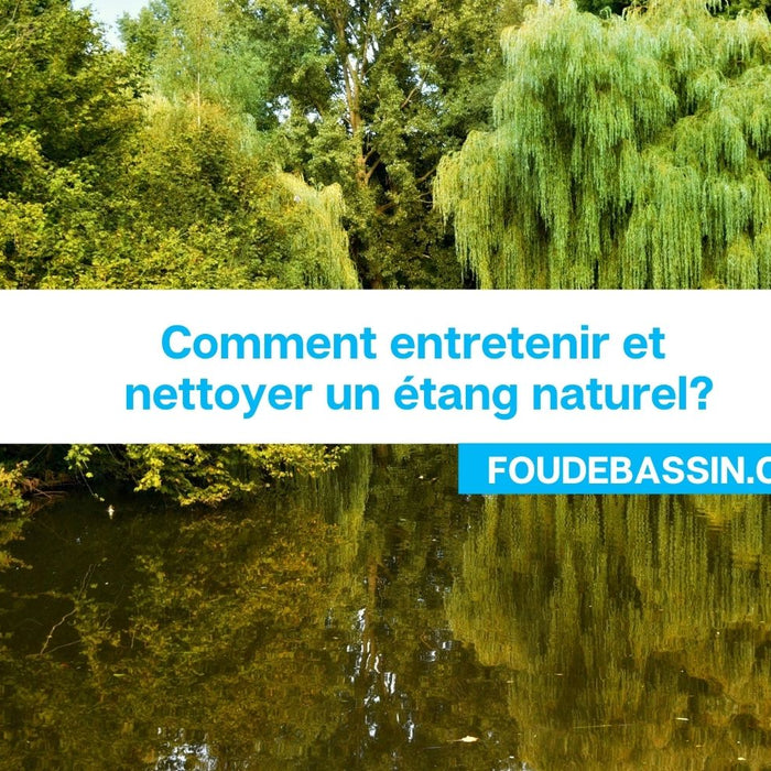 Comment entretenir et nettoyer un étang naturel?