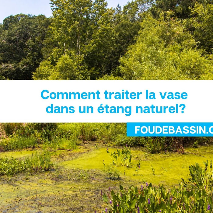 Comment traiter la vase dans un étang naturel?