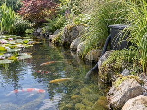 Garden pond filters