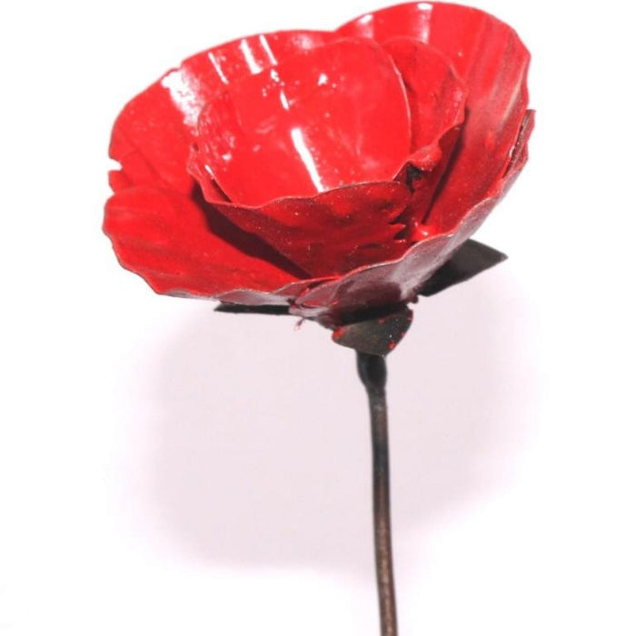 Aquigarden Tuteur Coquelicot Peint - 1M - Fleur en métal décoratif à planter GSPOP GSPOP