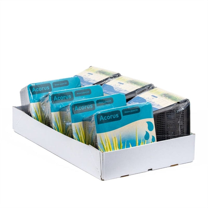 Aquipond Plantes aquatiques Acorus - En kit tout-en-un - Pot de 18CM 8718226855718 20910